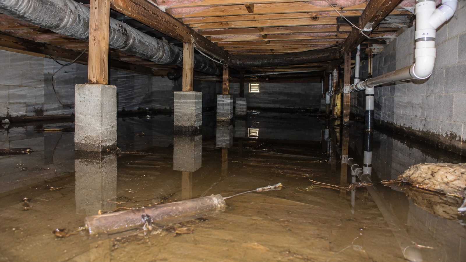 Standing water flooding a residential crawl space over a vapor barrier, with wet framing, block piers, and pipework overhead.
